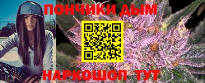 сатива Сланцы