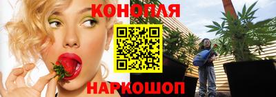 сатива Сланцы