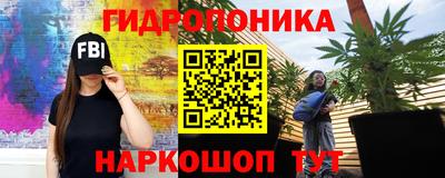сатива Сланцы