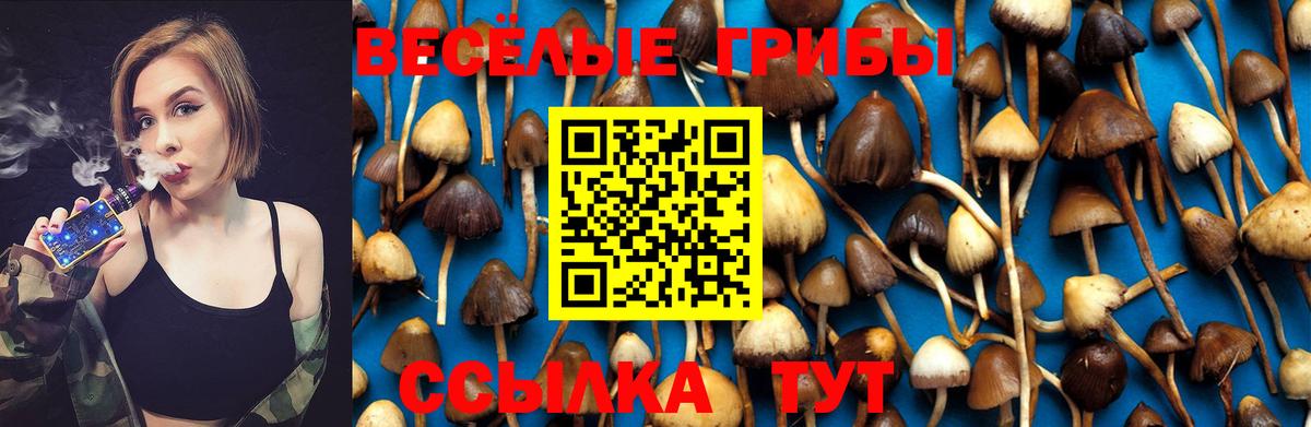 Новочебоксарск  Галлюциногенные грибы Psilocybine cubensis  где можно купить наркотик  Вход с VPN 